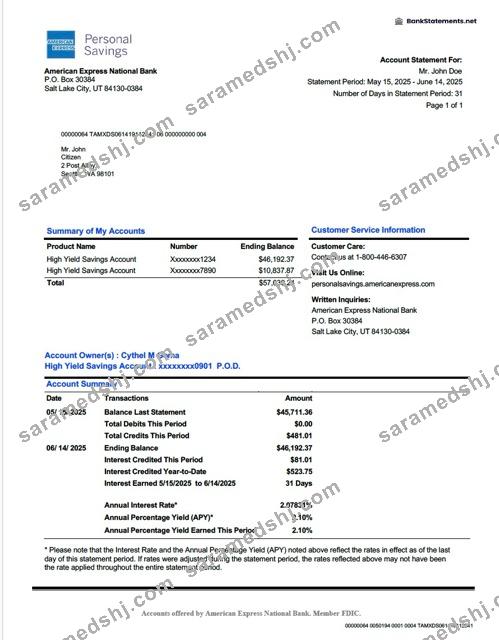 USA American Express National Bank account statement Word and PDF template